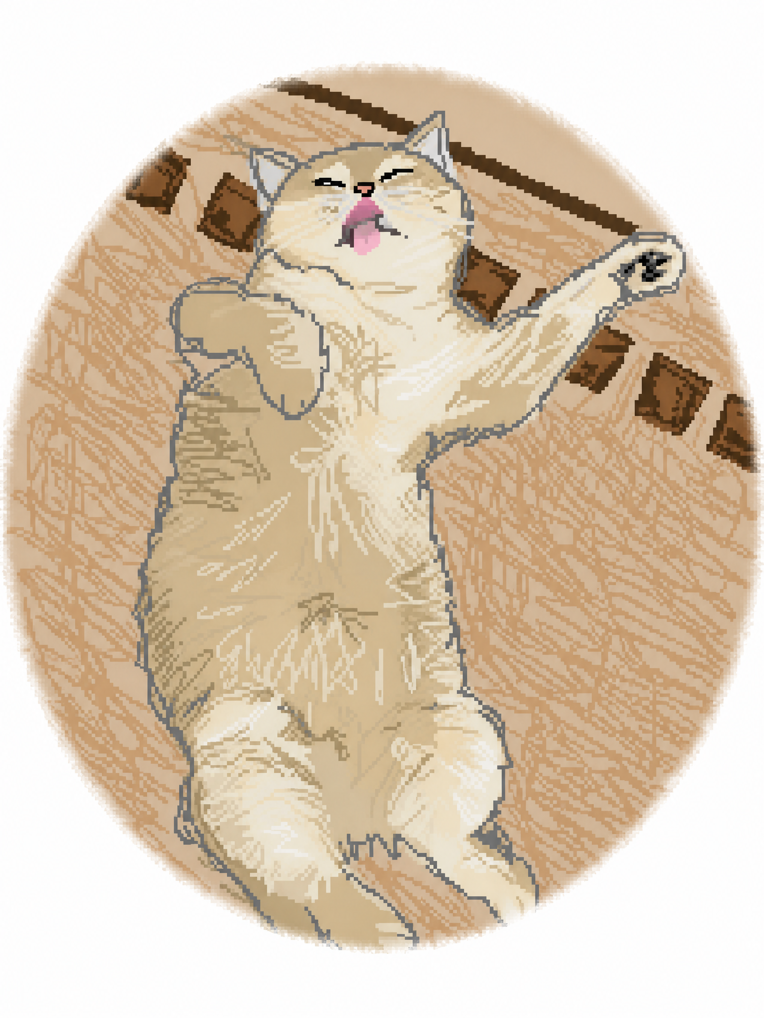 我的猫